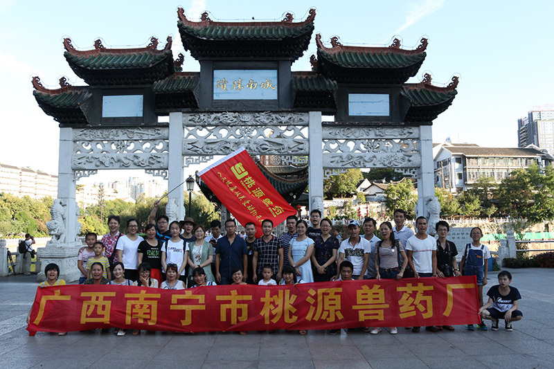 group travelling