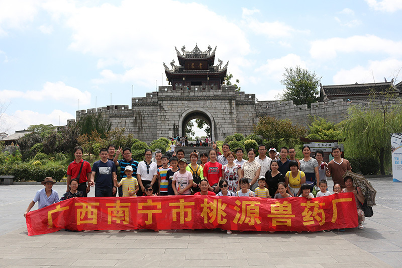 group travelling group travelling