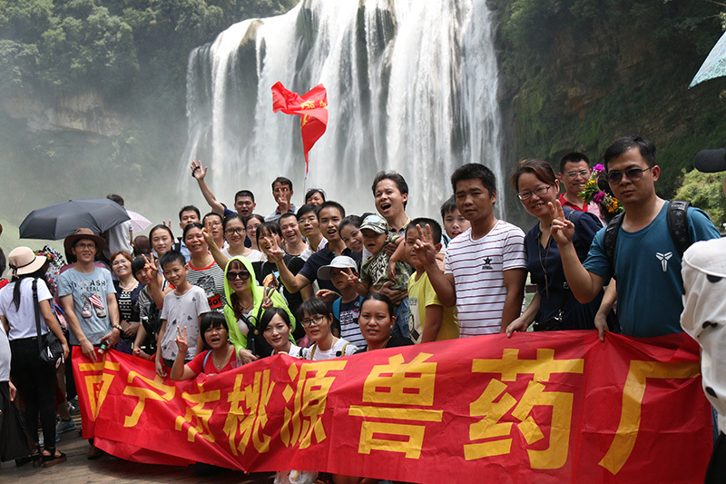 group travelling
